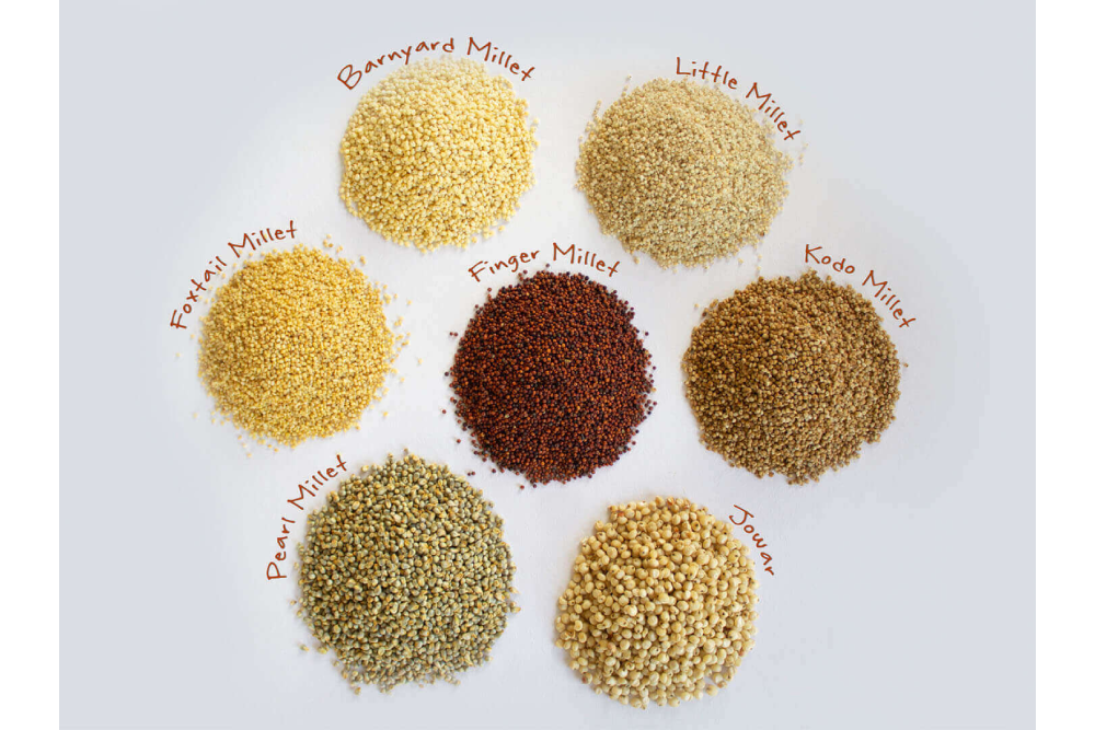 Organic Millets